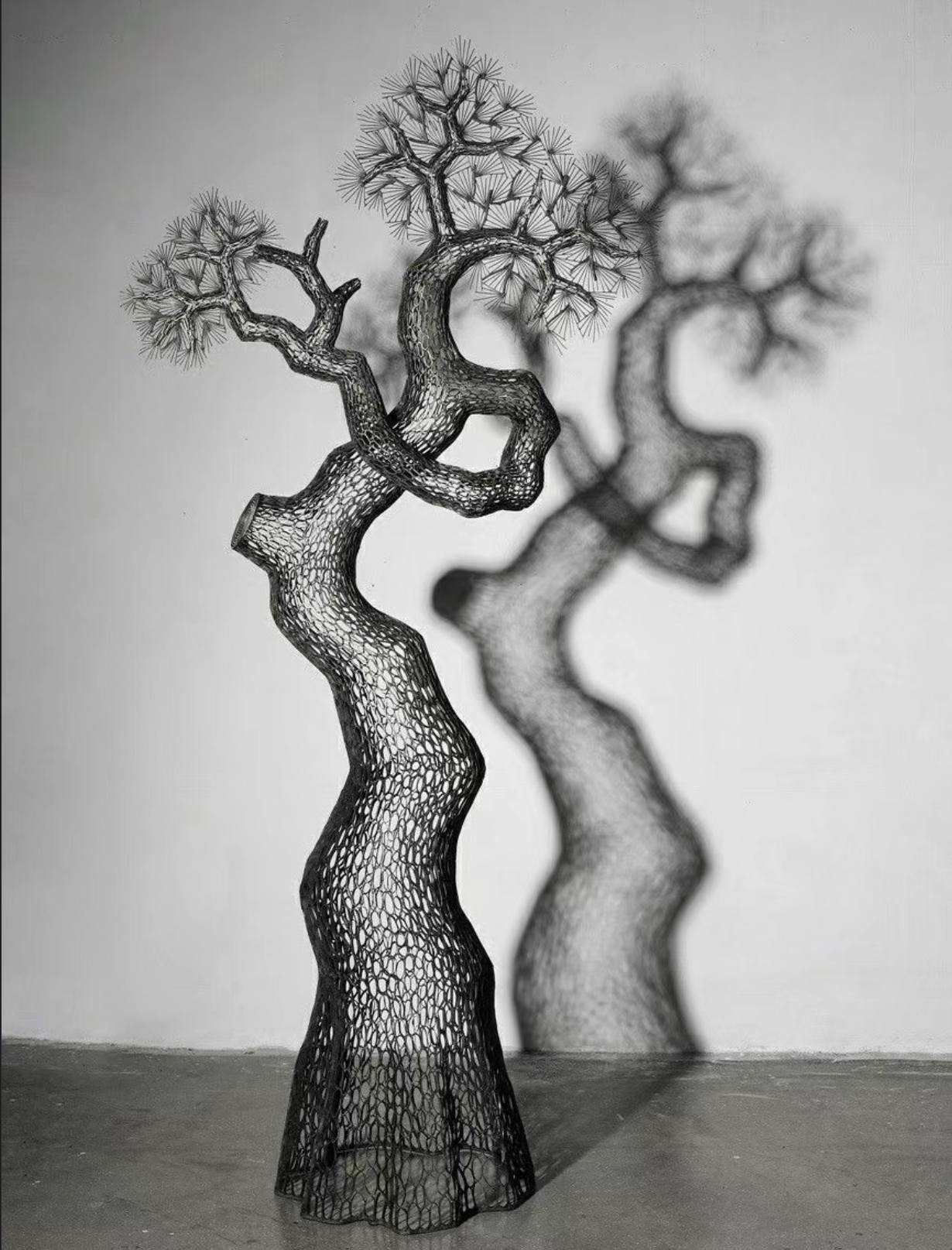 冰冷的、不朽的，松：Lee Gil Rae