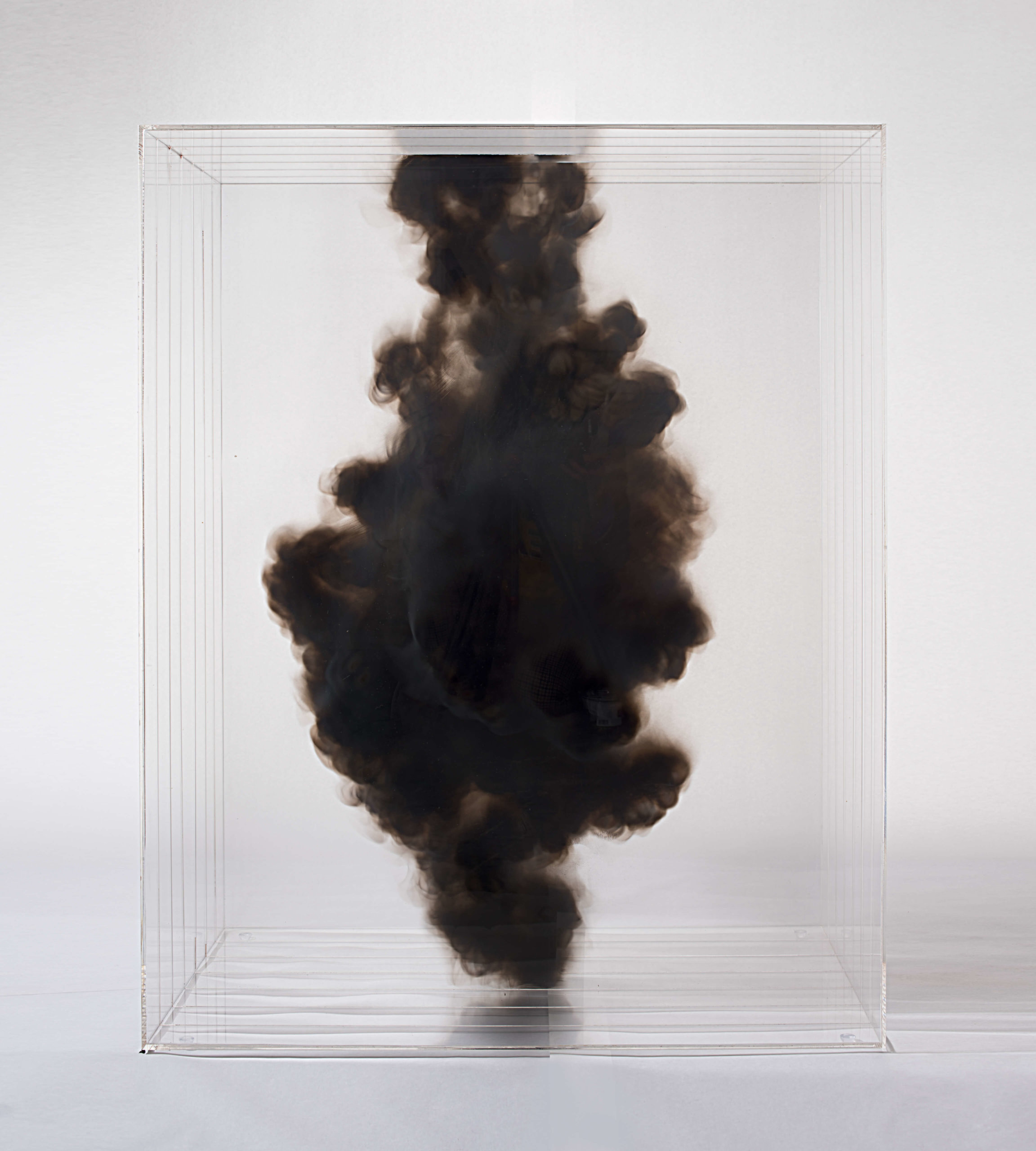 煙霧學家的標本：Isabel Alonso Vega