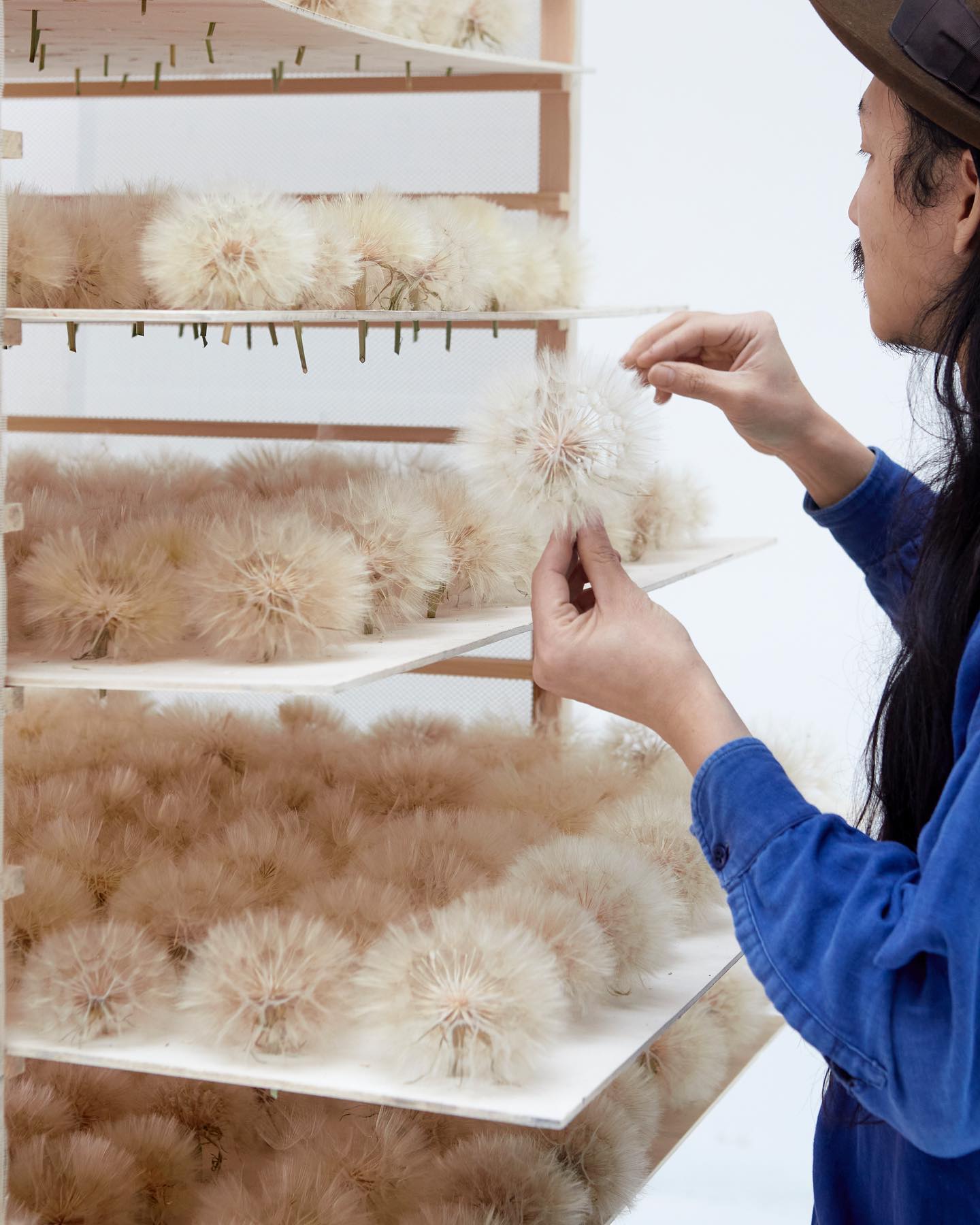 刺與蒲公英·自然敘事：Duy Anh Nhan Duc